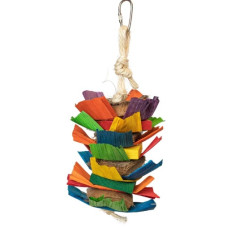 Back Zoo Nature Coco Rainbow Back Zoo Nature Coco Rainbow